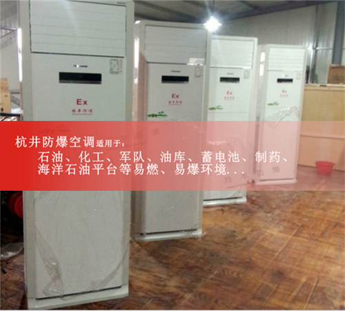 發(fā)電廠防爆空調(diào)機(jī)案例圖