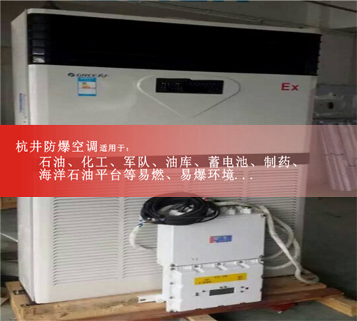 BHKT系列油墨房定制防爆空調(diào)吸頂式案例圖